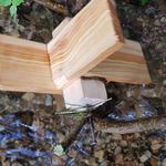 Wasserrad im Bach