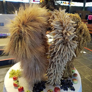 Bild8