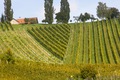 Das Erbe unserer Väter