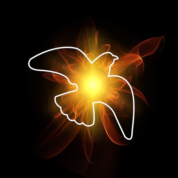 pixabay