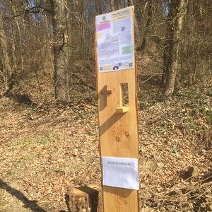 Lasst uns neue Wege gehen, Wege der Zuversicht