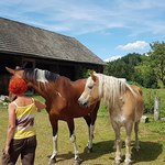 Frau mit Pferden