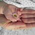 Kleine Hand in großer Hand